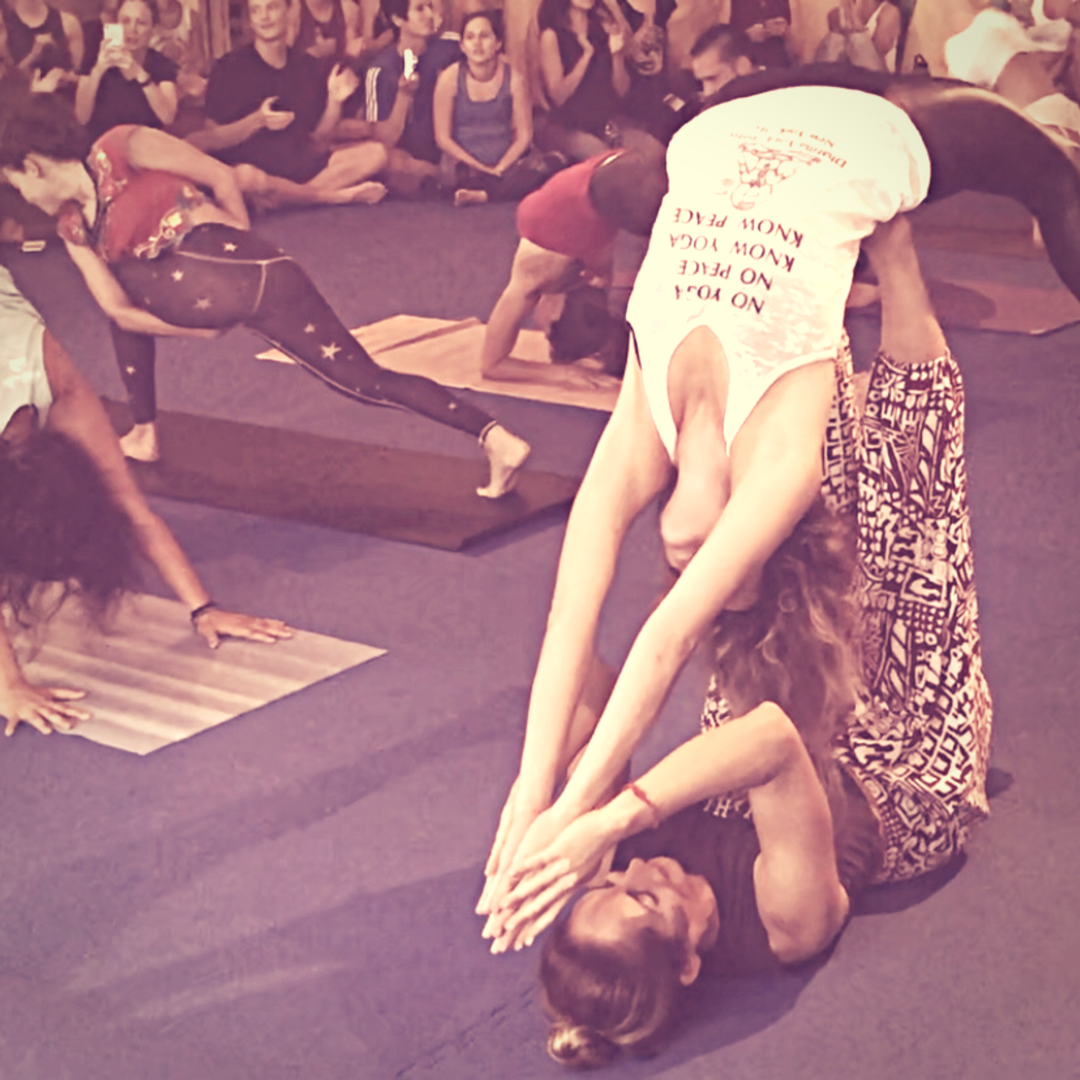 Dharma Yoga Open Level in Jersey City, NJ, US | Mindbody