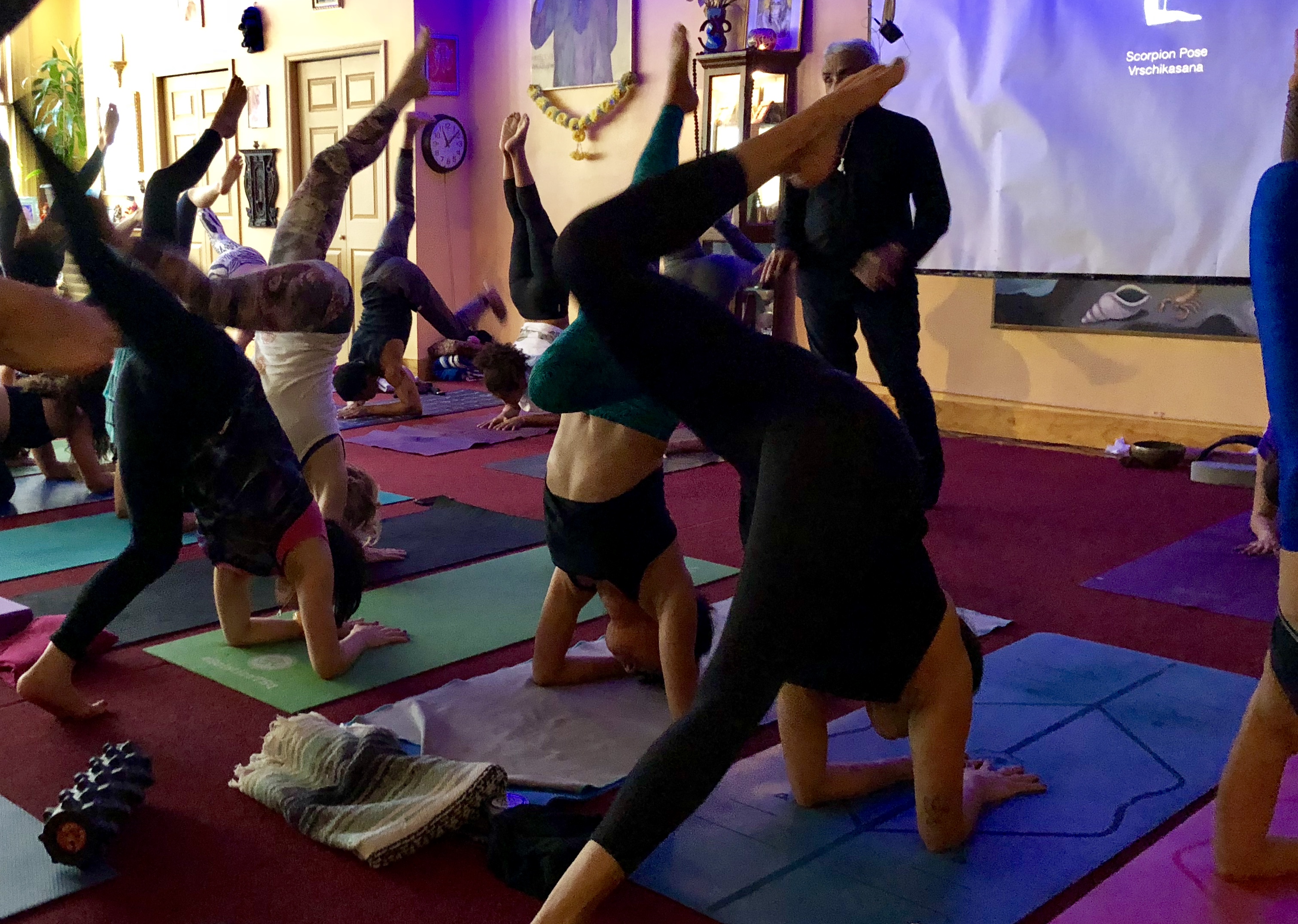 dharma yoga wheel Archives - Yoga with Kassandra Blog